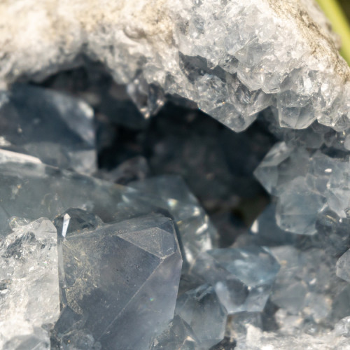 XL Celestite Geode #3