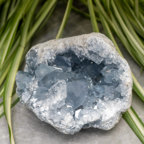 XL Celestite Geode #3