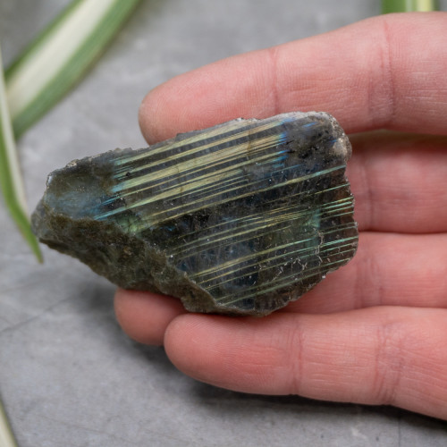 Half-Polished Labradorite #6