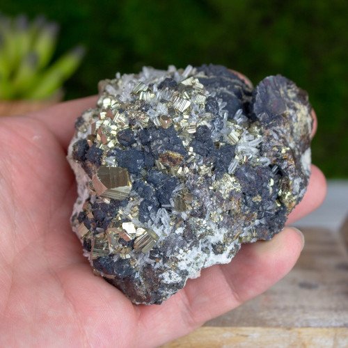 Pyrite & Quartz on Sphalerite speciman