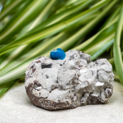 Cavansite #7