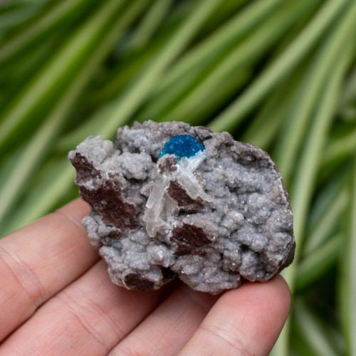 Cavansite #2