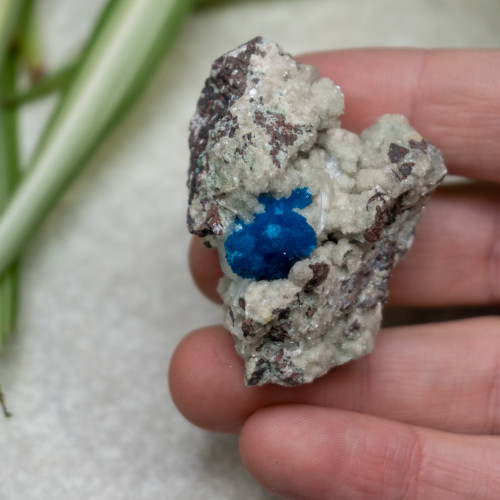 Cavansite #1