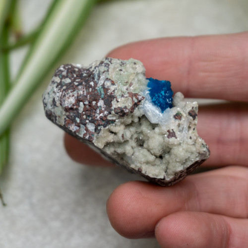 Cavansite #1