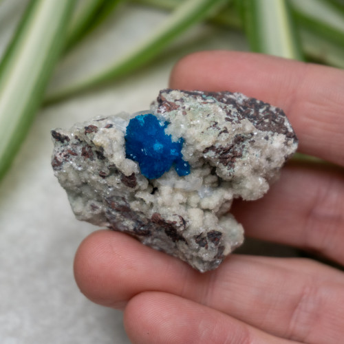 Cavansite #1