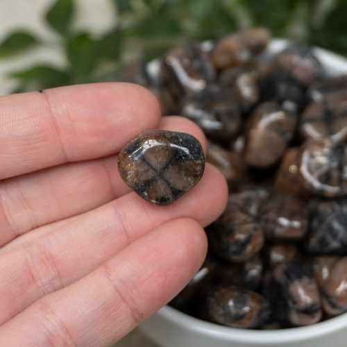 Chiastolite Tumbled
