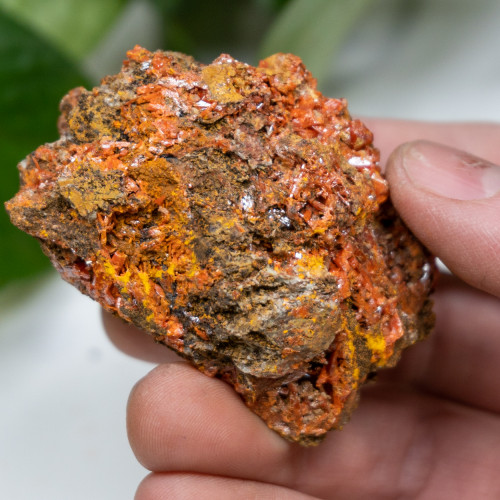 Raw Crocoite #4