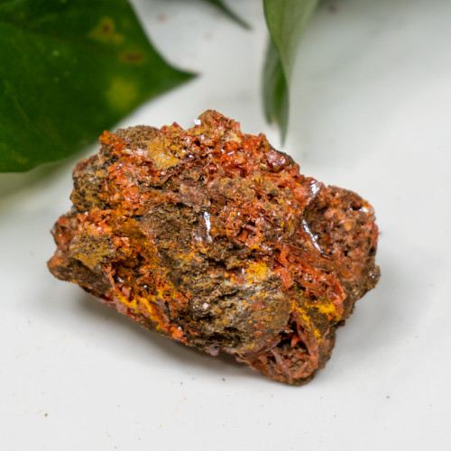 Raw Crocoite #4
