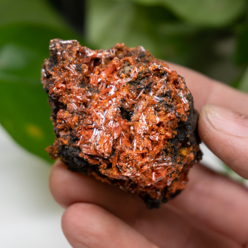 Raw Crocoite #2