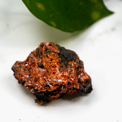 Raw Crocoite #2