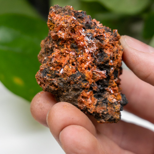 Raw Crocoite #2