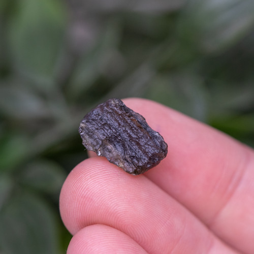 Moldavite #18