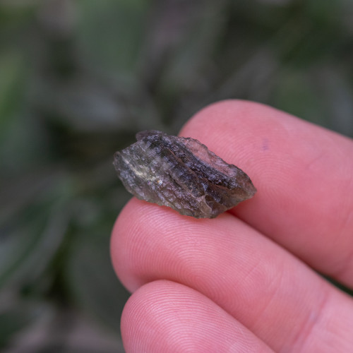 Moldavite #29