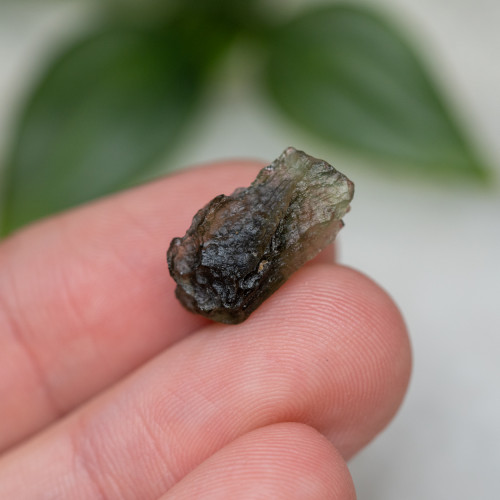 Moldavite #8