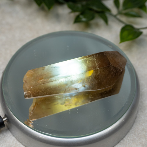 Natural Citrine Point #16