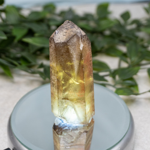 Natural Citrine Point #13