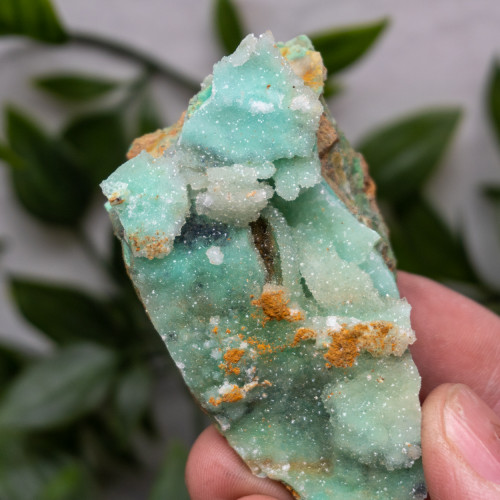 Quartz Covered Chrysoprase #10