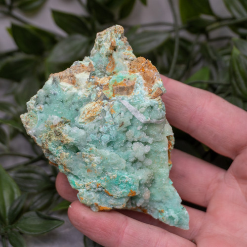 Quartz Covered Chrysoprase #6