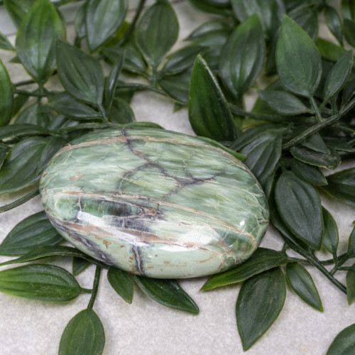 Tremolite Palmstone Random