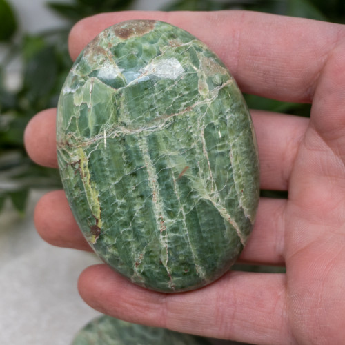 Tremolite Palmstone Random