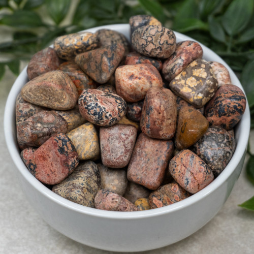 Leopard Skin Jasper Tumbled