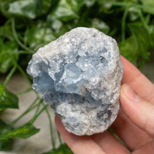 Celestite Raw #16