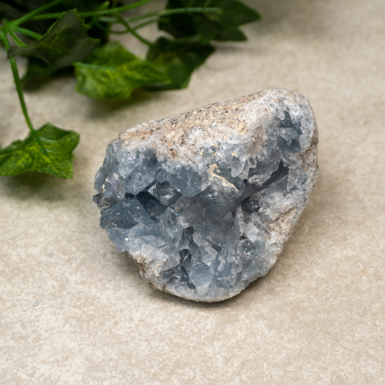 Celestite Raw #13 - The Crystal Council