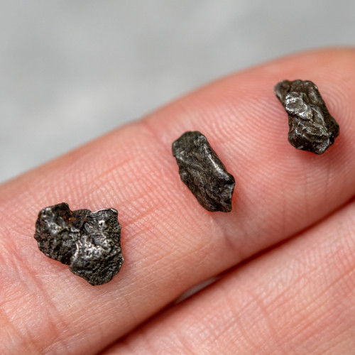 Sikhote-Alin Meteorite (3 Pieces) with Magnifing Case Random