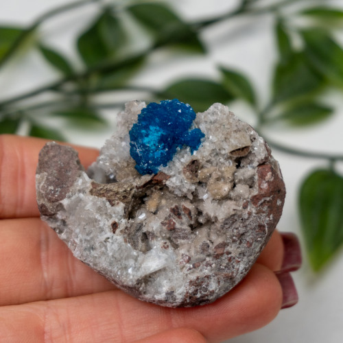 Cavansite #1