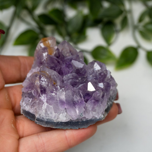 Amethyst Raw Cluster #25