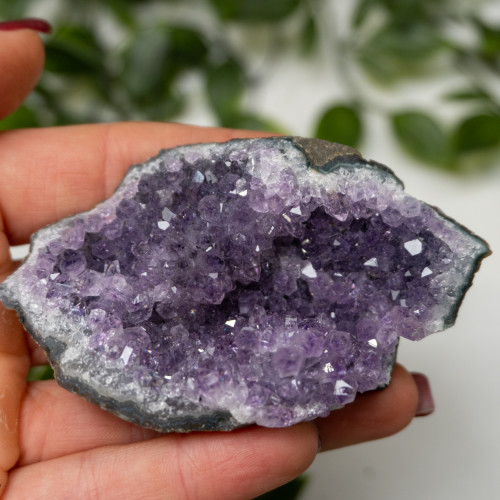 Amethyst Raw Cluster #7