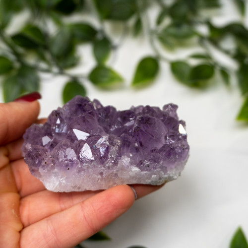 Amethyst Raw Cluster #5