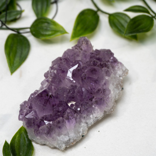 Amethyst Raw Cluster #5