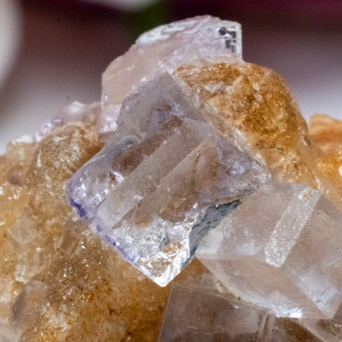 Llamas Mine Optical Fluorite #9