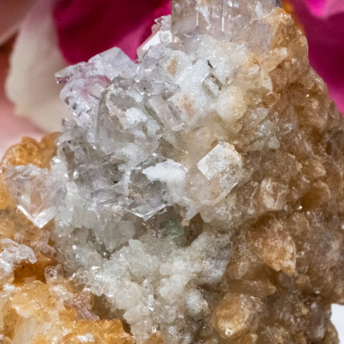 Llamas Mine Optical Fluorite #7