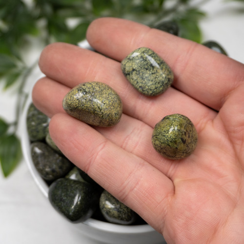 Green Snake Skin Jasper Tumbled