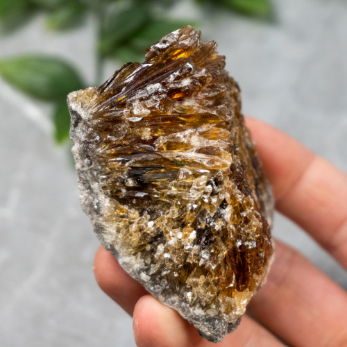 Amber Calcite #6