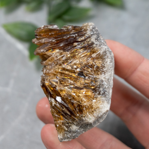 Amber Calcite #6