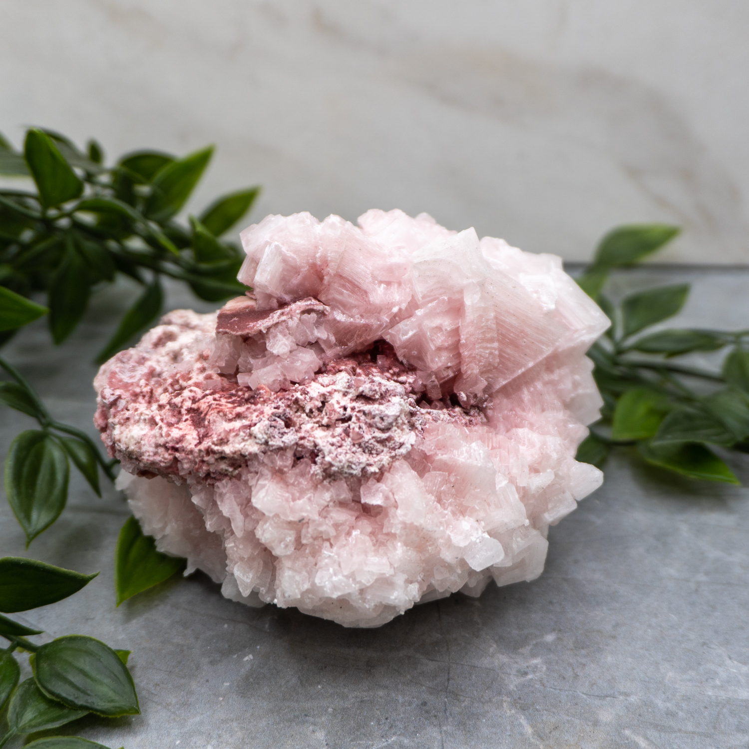 Pink Halite Large #3 - The Crystal Council