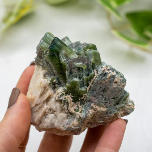 Watermelon Tourmaline #10