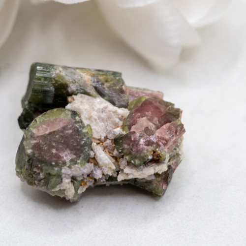 Watermelon Tourmaline #8