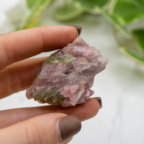 Watermelon Tourmaline #7