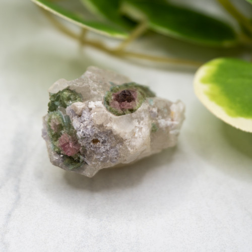 Watermelon Tourmaline #6