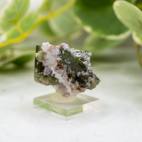 Watermelon Tourmaline #3