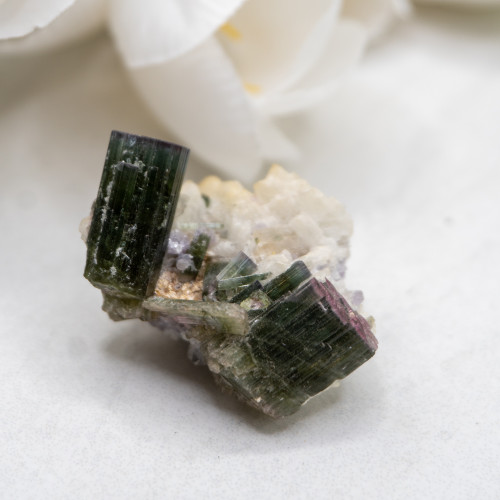 Watermelon Tourmaline #2