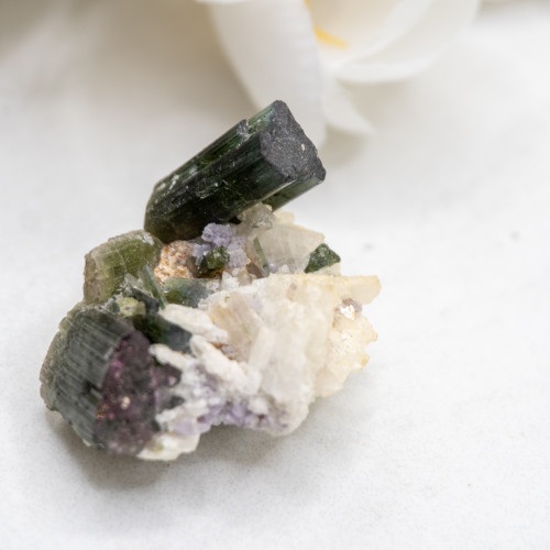 Watermelon Tourmaline #2