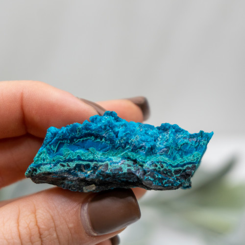 Raw Chrysocolla with Malachite #10