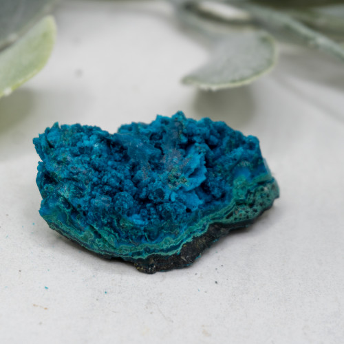 Raw Chrysocolla with Malachite #10