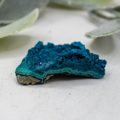 Raw Chrysocolla with Malachite #8