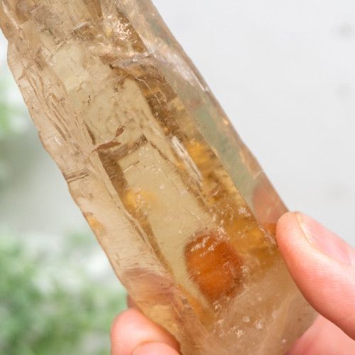 Citrine Lemurian Quartz Point #2